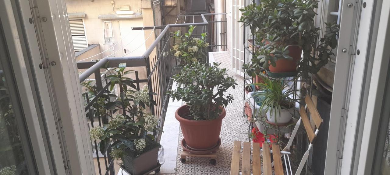 Casa Pascal *